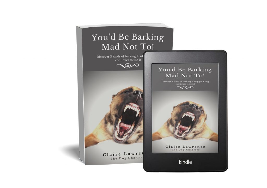 3 Steps to Silence: The Barking Dog High Peak Dog Services
